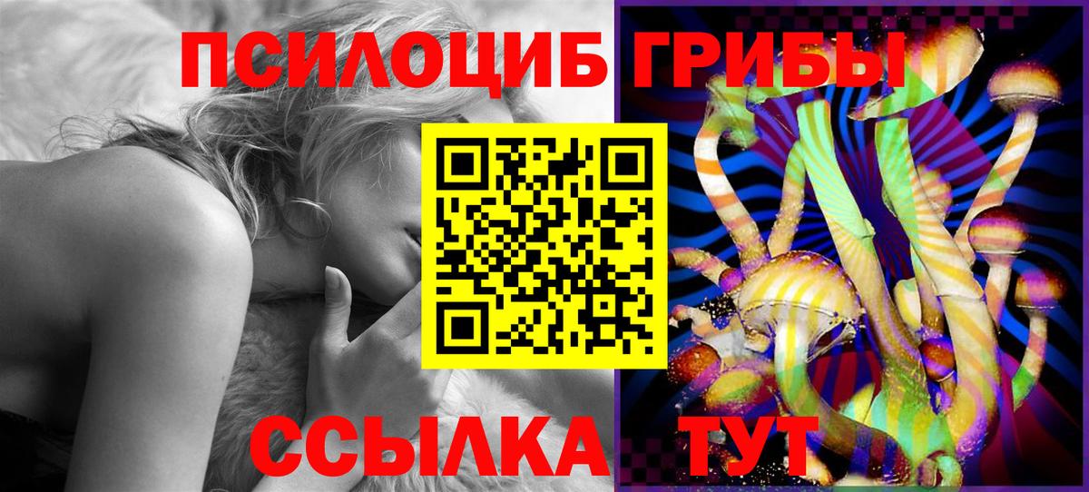 Псилоцибиновые грибы GOLDEN TEACHER  Вход с VPN  Галлюциногенные грибы Psilocybine cubensis  Советск 
